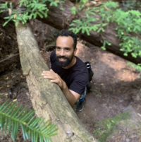 Andrew stands under a fallen Bay Tree in a Redwood forest.
