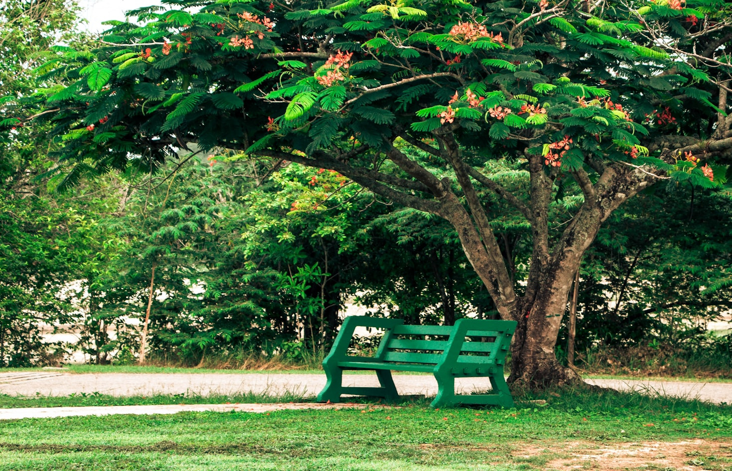 Top Trends in Urban Ecology Today