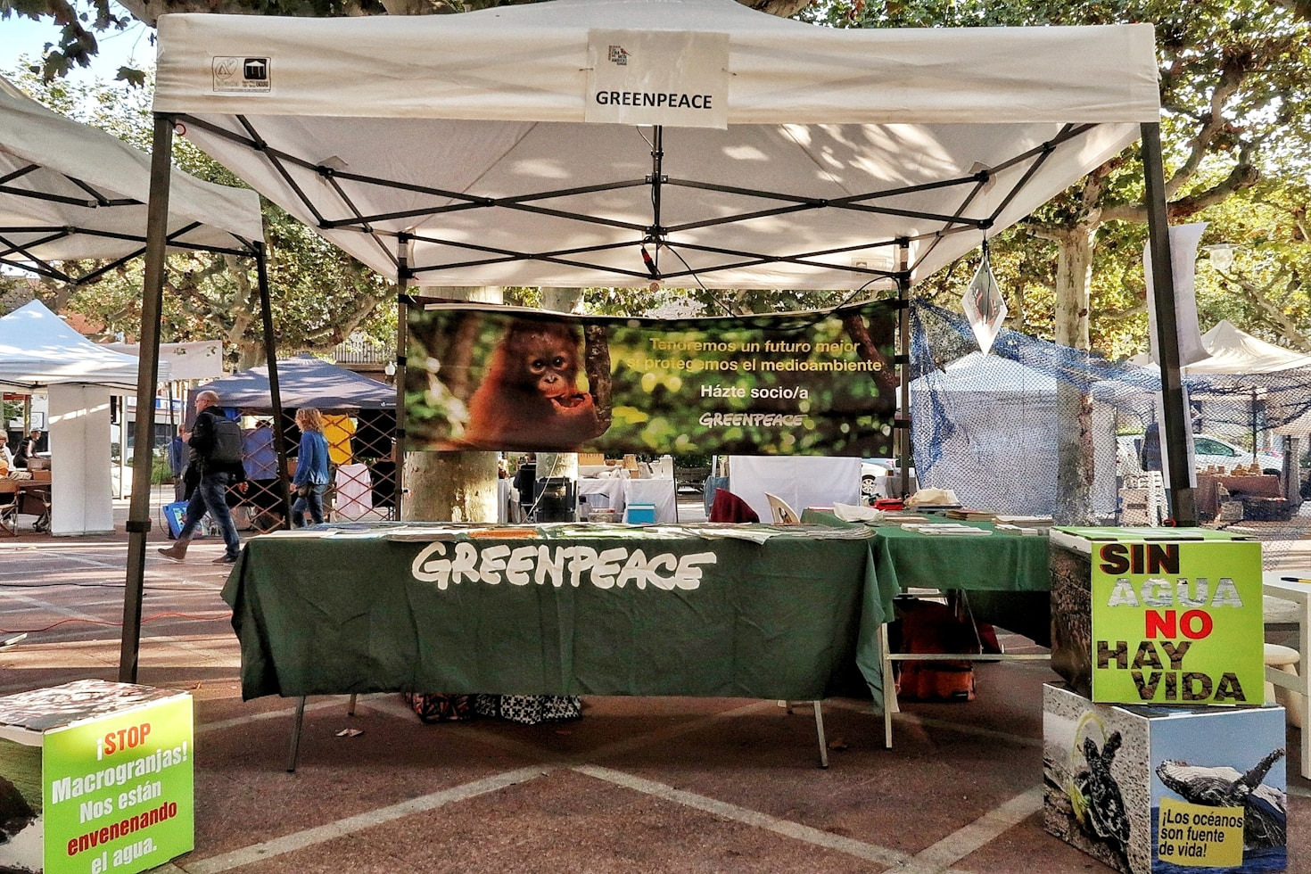 Revitalizing Urban Landscapes Through Ecology