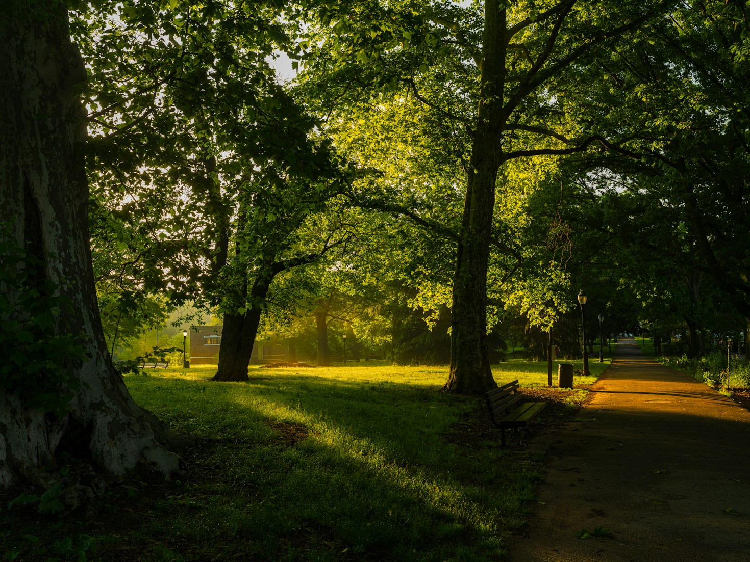 The Future of Urban Green Innovation